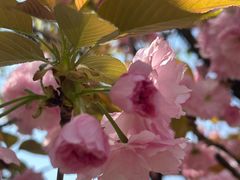 -苏州河梦清园环保主题公园