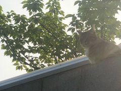 -UNI UNI(环亚凯瑟琳店)