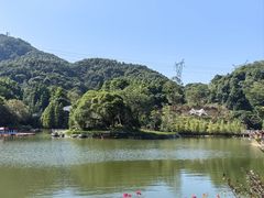 -广州市帽峰山景区