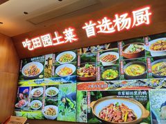 -杨厨的田园饭店(长城路店)