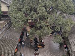 -青城山