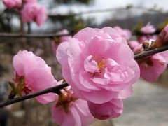 -北京鹫峰国家森林公园