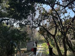-中国茶叶博物馆(双峰馆区)