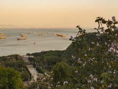 -南沙天后宫景区