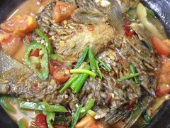 啤酒鱼火锅-红鼻子桂林米粉(金唐新光界店)