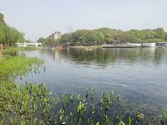 -新江湾城公园