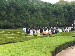 -上海市龙华烈士陵园