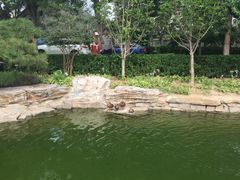 -春风习习