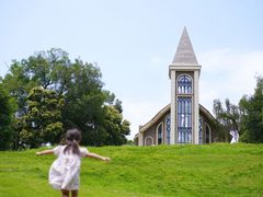 -成都保利公园皇冠假日酒店(熊猫基地店)