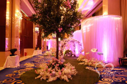 -IDOI婚礼策划·IDOIWEDDING