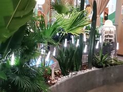 -润园四季椰子鸡火锅(南山海岸城店)