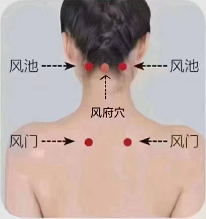 颈窝位置示意图图片