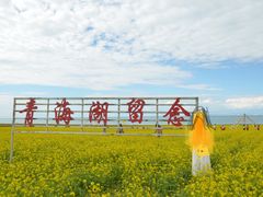 -青海湖国家重点风景名胜区