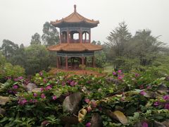 -广州莲花山旅游区
