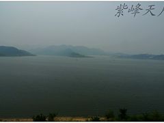 -望湖烤鱼