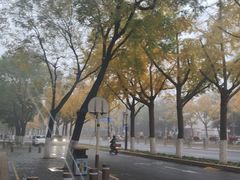 -DQ·蛋糕·冰淇淋(通州万达店)