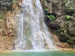 -南海湾森林生态园
