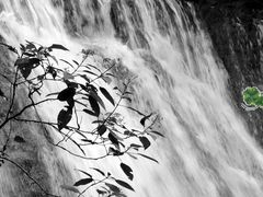 -藏龙百瀑风景区