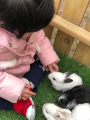 -萌宠亲子动物乐园(槐房万达店)