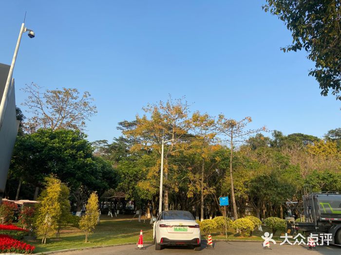 滨海公园图片