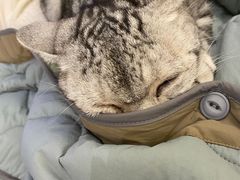 -猫友咖啡店(玉林西路店)