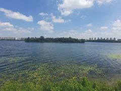 -丁香湖公园