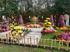 -上海共青森林公园