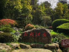 -铁山坪森林公园