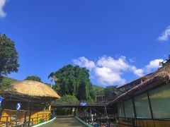 -海南槟榔谷黎苗文化旅游区