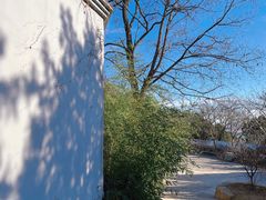 -北京西山国家森林公园