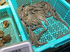 菜单-王庄阿咪海鲜大排档(上下杭店)