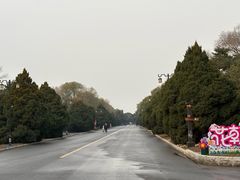 -北陵公园