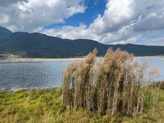 -腾冲北海湿地