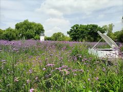 -梁鸿国家湿地公园
