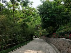 -竹子庵公园