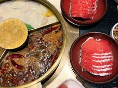 -巴奴毛肚火锅(九洲店)