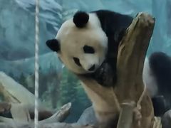 -武汉动物园