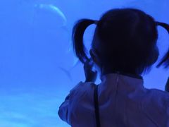 -多彩贵州城极地海洋世界