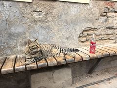 -正阳书局(西四南大街店)