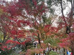 -赭山公园