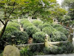 -十八棵（老龙井）御茶园(老龙井店)