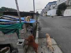 -杭州萧山国际机场