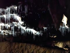 -怀托摩萤火虫洞