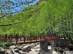 -青峰峡国家森林公园