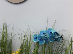 -福禄财东北菜(珠江帝景店)