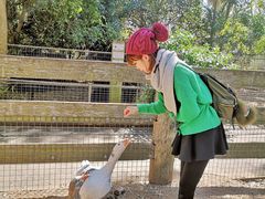 -费瑟代尔野生动物园