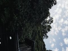 -鲤鱼塘农家山庄