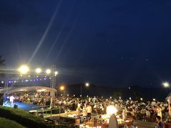 -渔家火锅·海鲜自助餐·演艺(亚龙湾天域酒店)