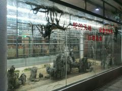 -荔城生鲜盛宴(番禺旗舰店)