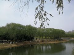 -大兴滨河森林公园